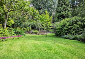 Optimiser l'expérience du jardin à Anchenoncourt-et-Chazel